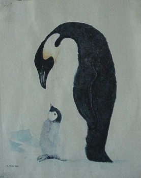 poster emperor penguins - keizerspinguin
Trefwoorden: poster emperor penguins - keizerspinguin