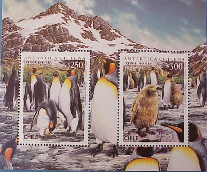 Antarctica Chilena
Trefwoorden: stamp postzegel Antarctica Chilena