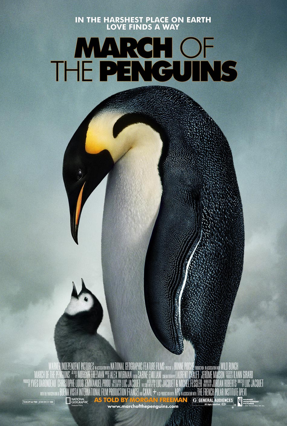 Pinguins info - penguin - information about films or movies with penguins